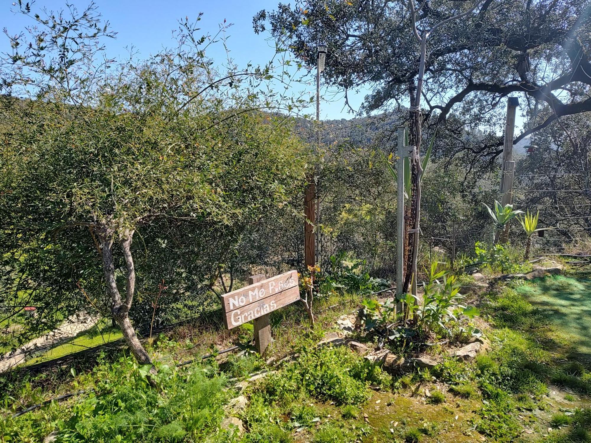 El Rincon De