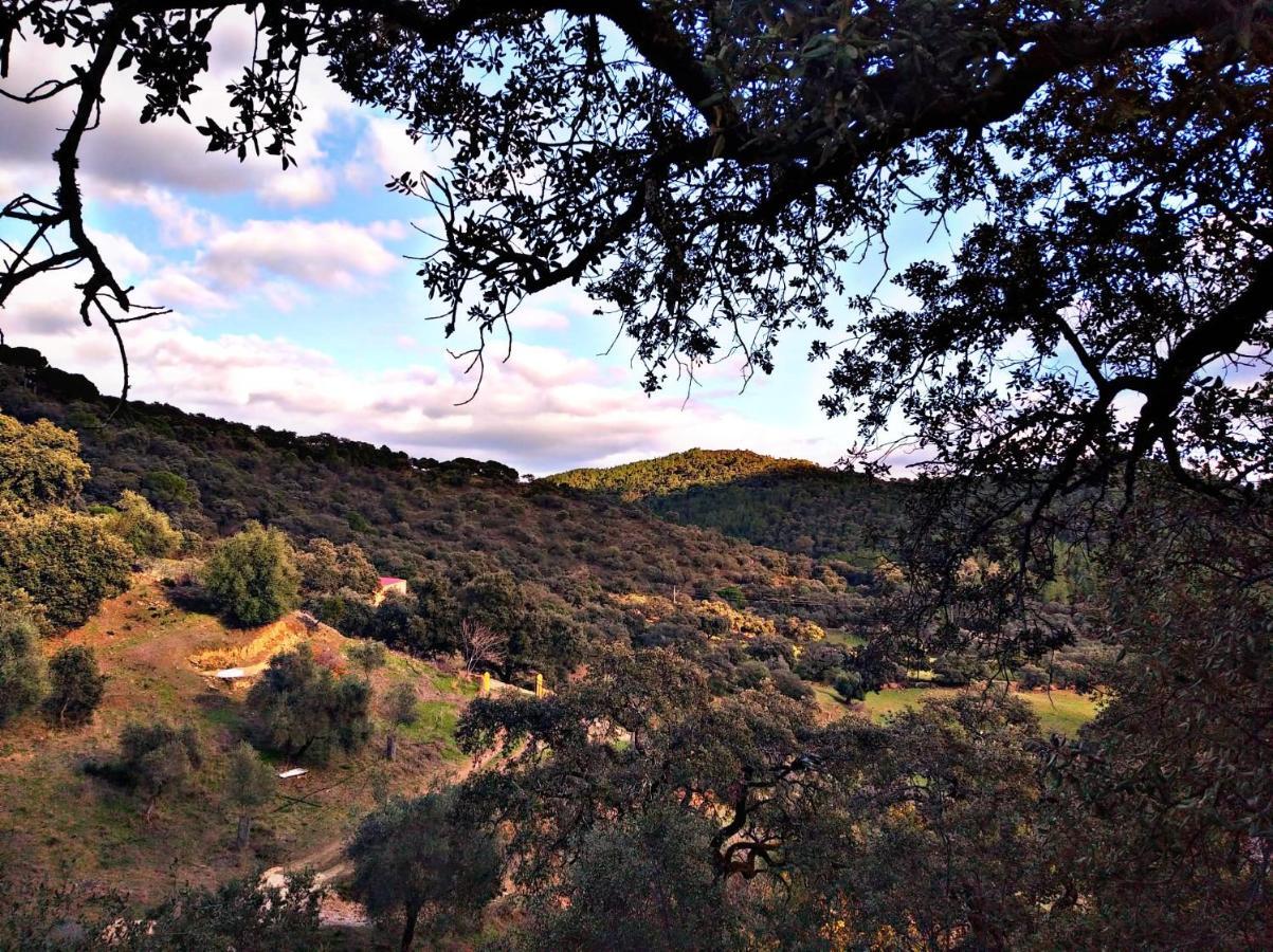 El Rincon De * Alájar