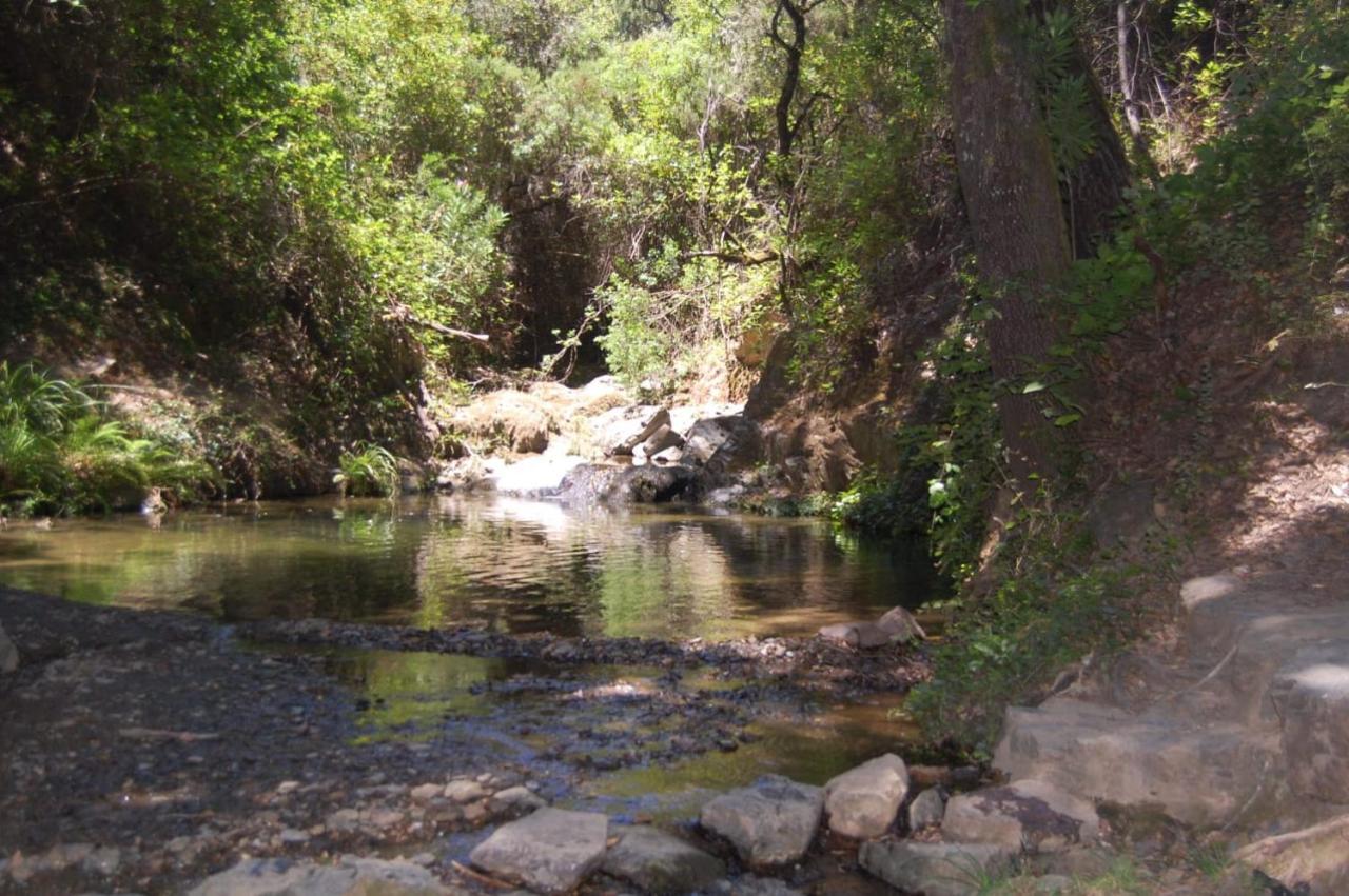 El Rincon De