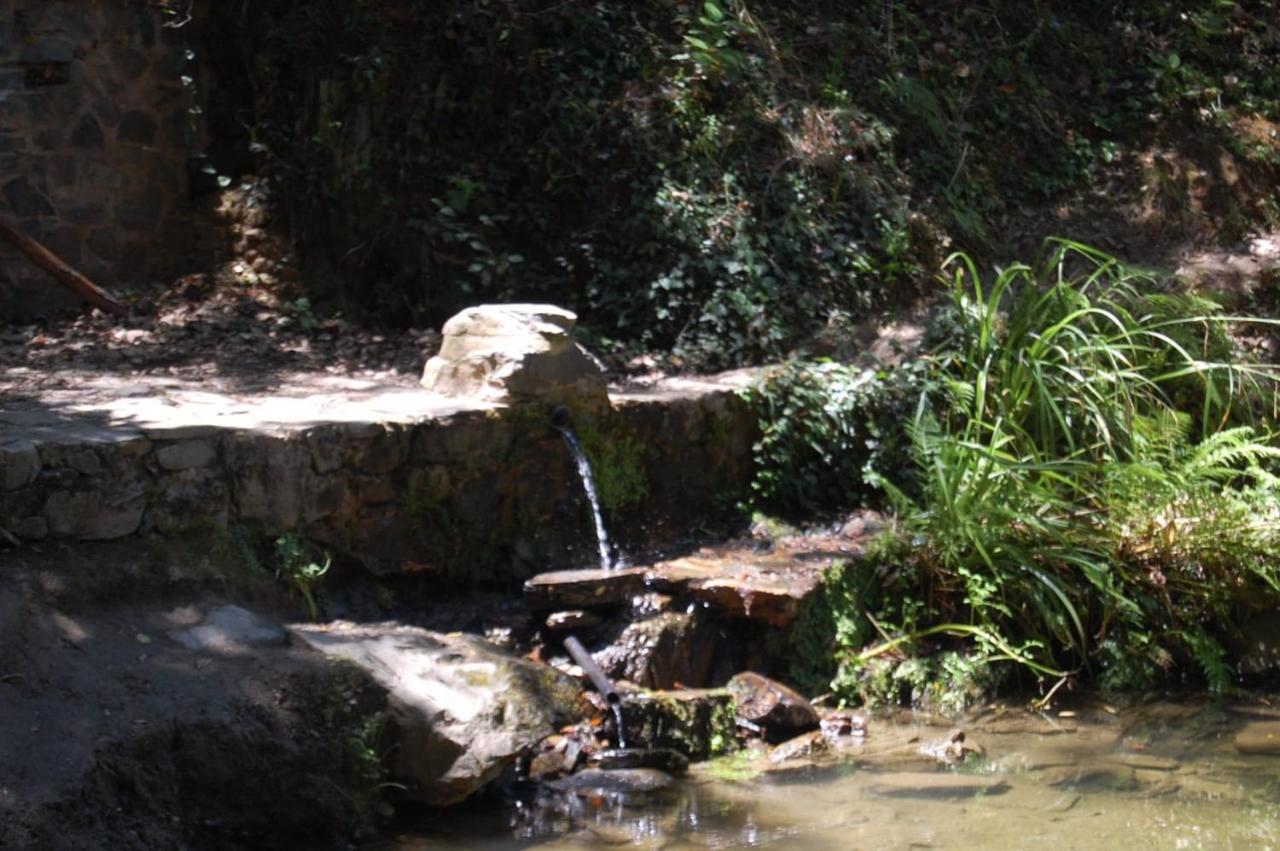 El Rincon De * Alajar