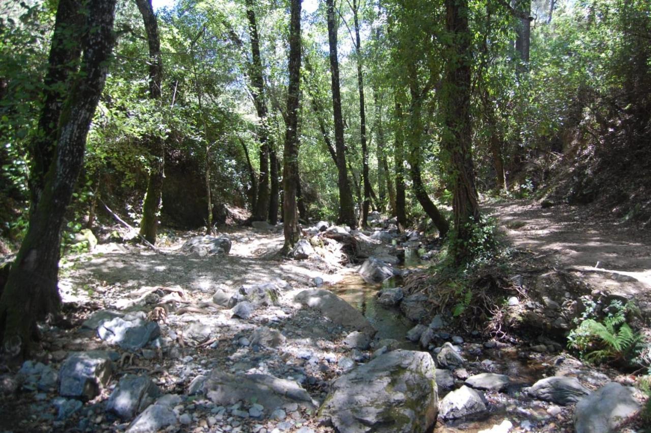 El Rincon De * Alajar