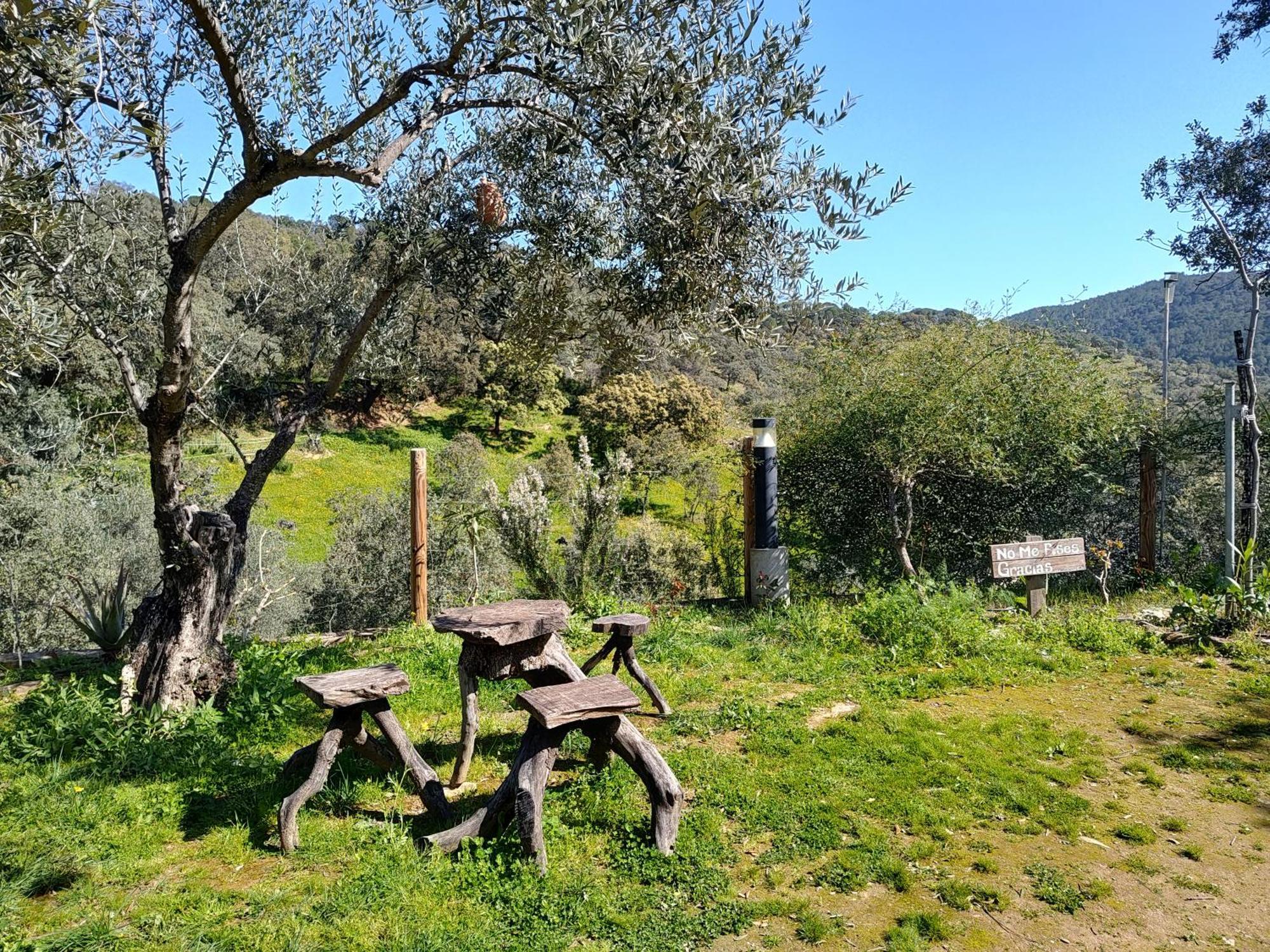 El Rincon De Alajar